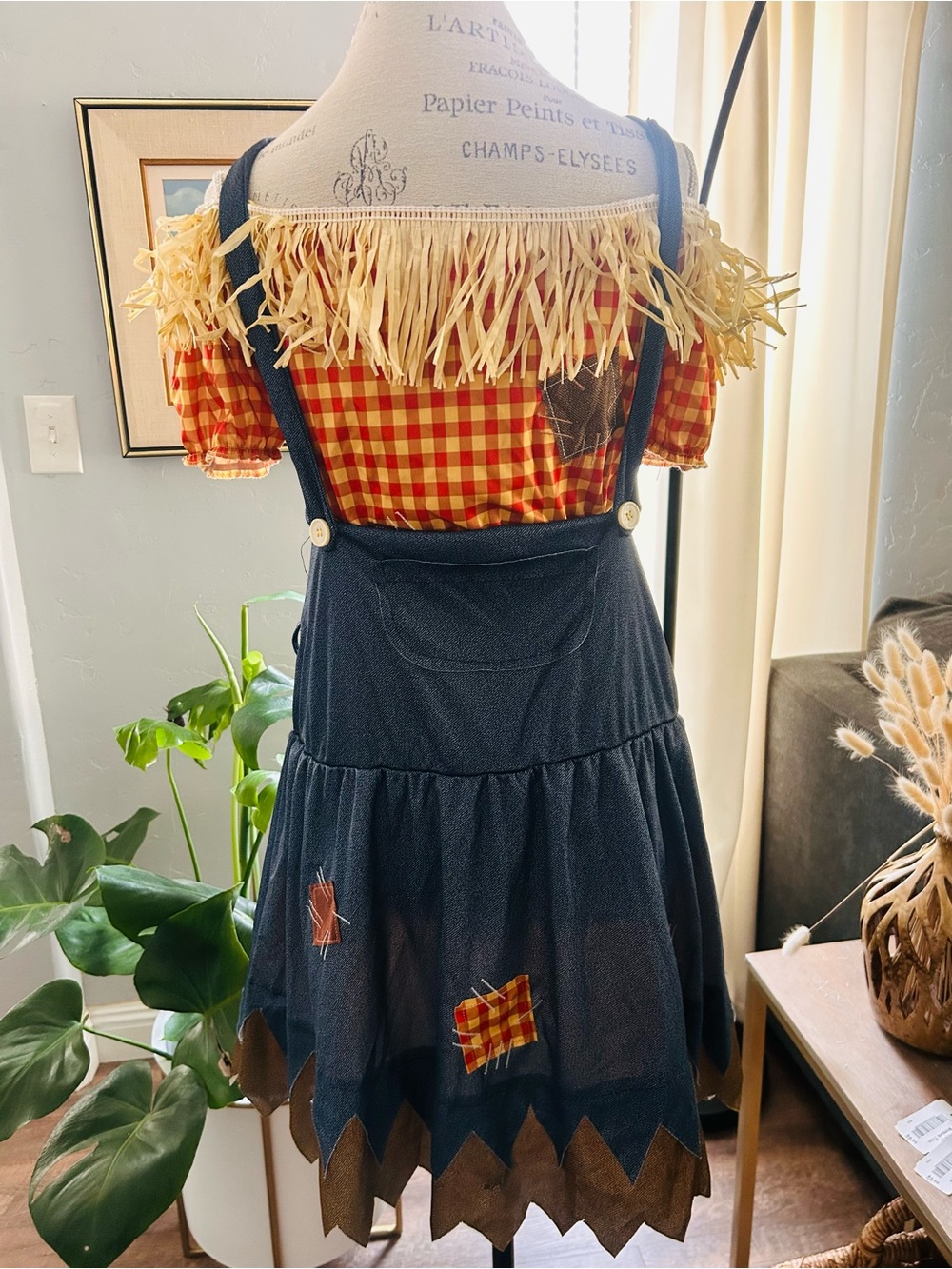 Cornfield Cutie Scarecrow Costume.